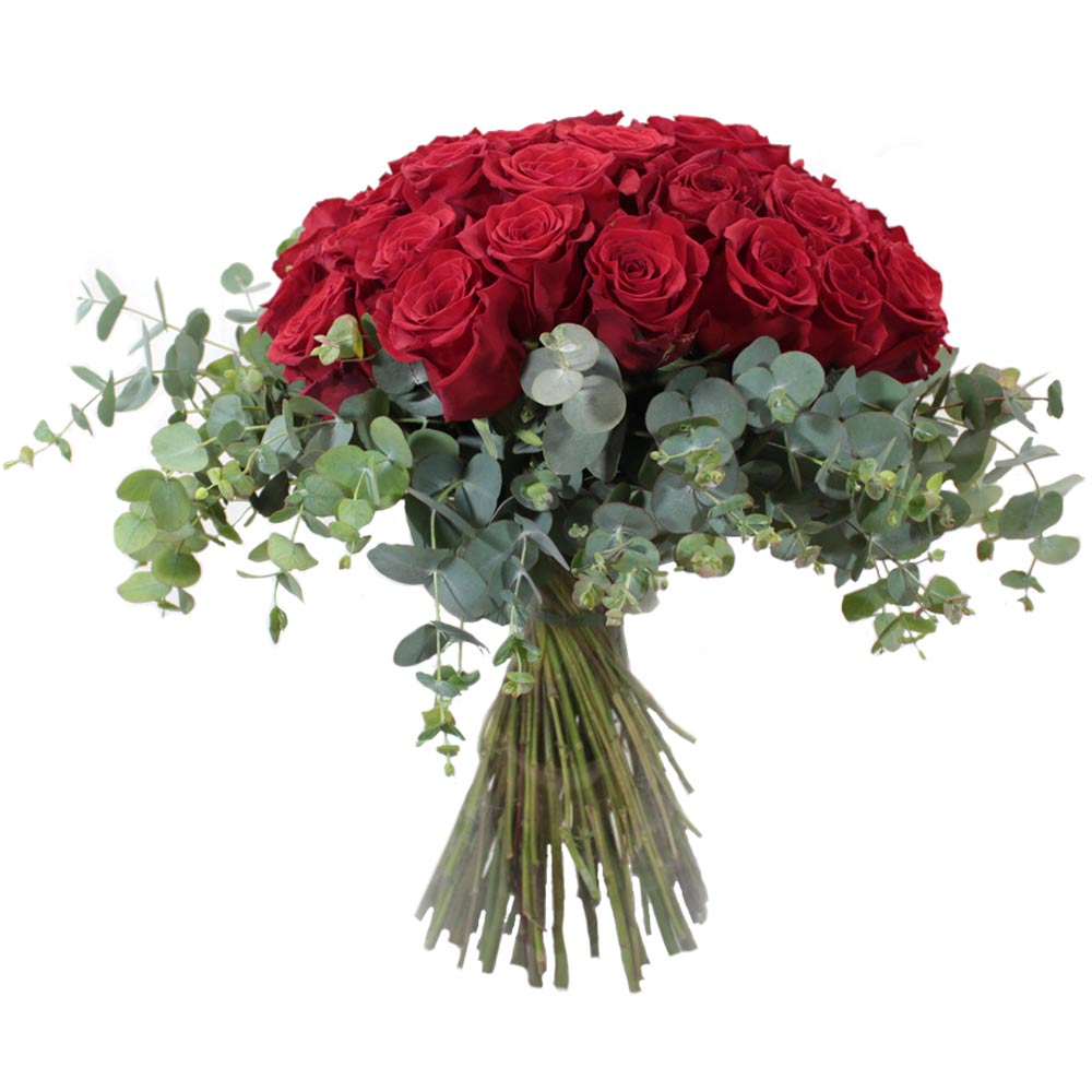 Ramo 50 Rosas Rojas – Flores Coclico