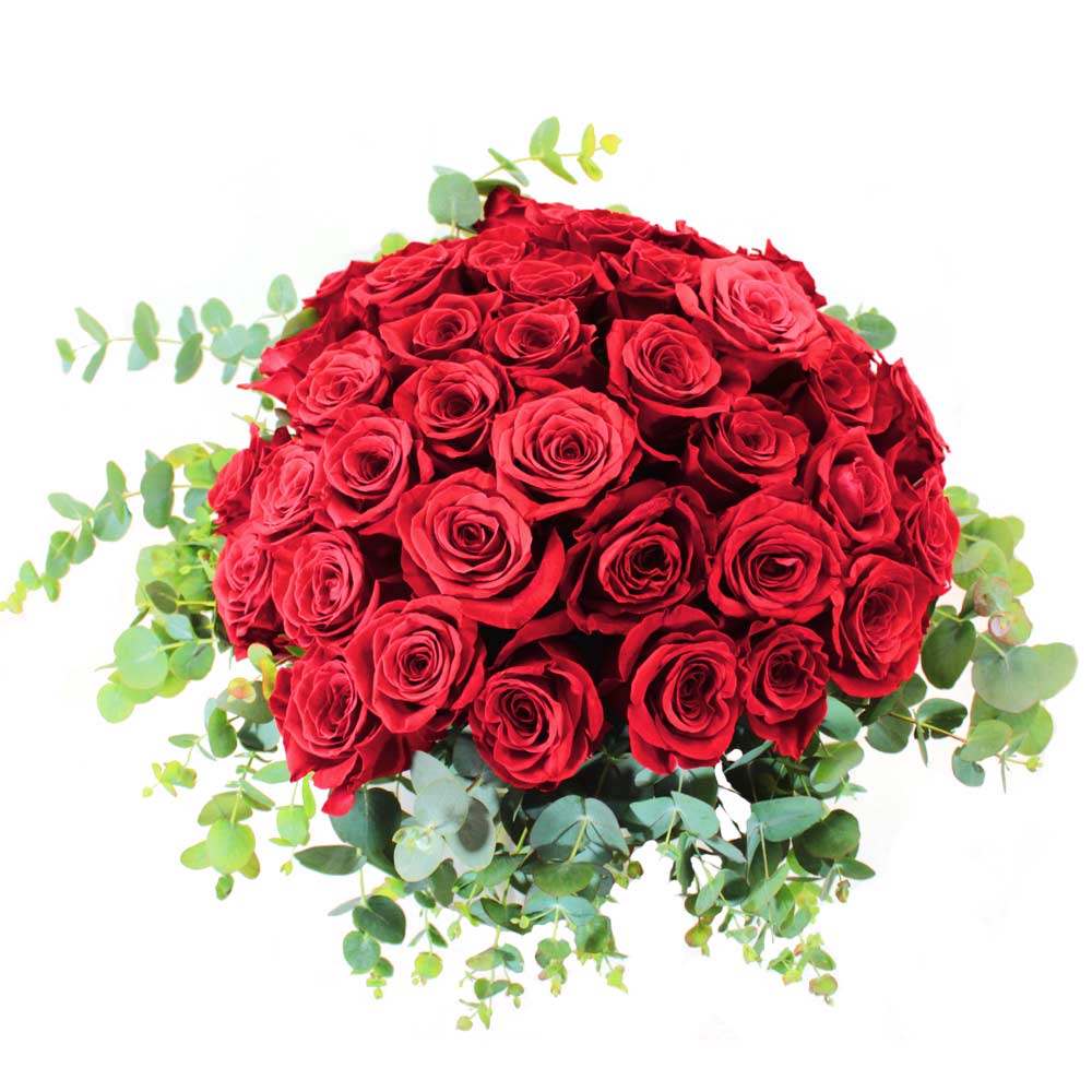 Ramo 50 Rosas Rojas – Flores Coclico